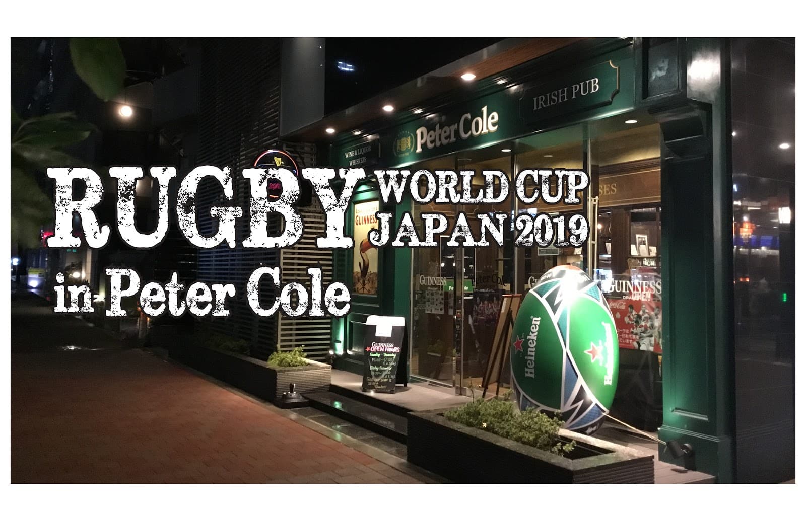 Irish Pub Peter Cole Nishi Shinjuku Main Branch — Irish pub in Tokyo