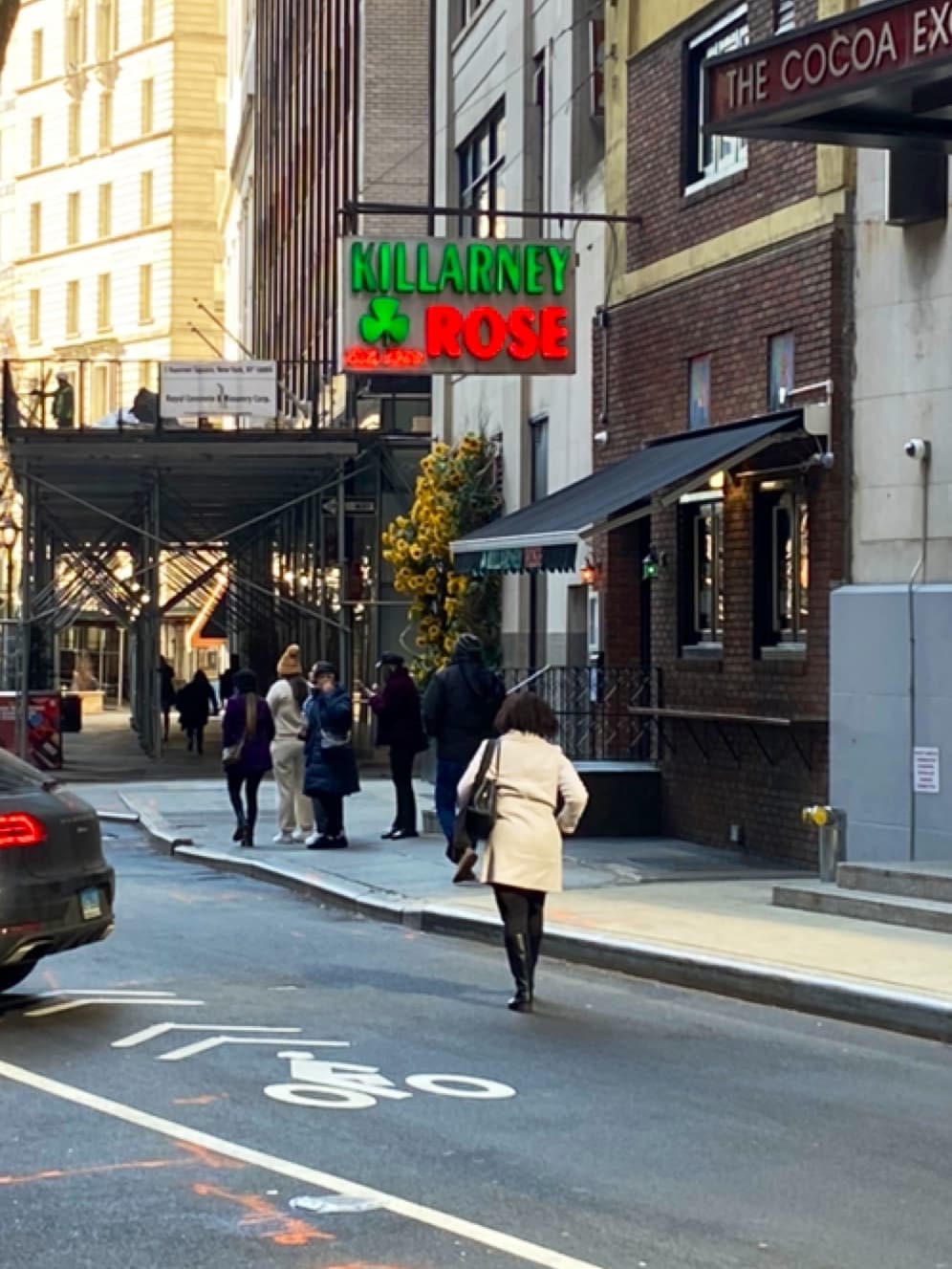Killarney Rose — Irish pub in New York