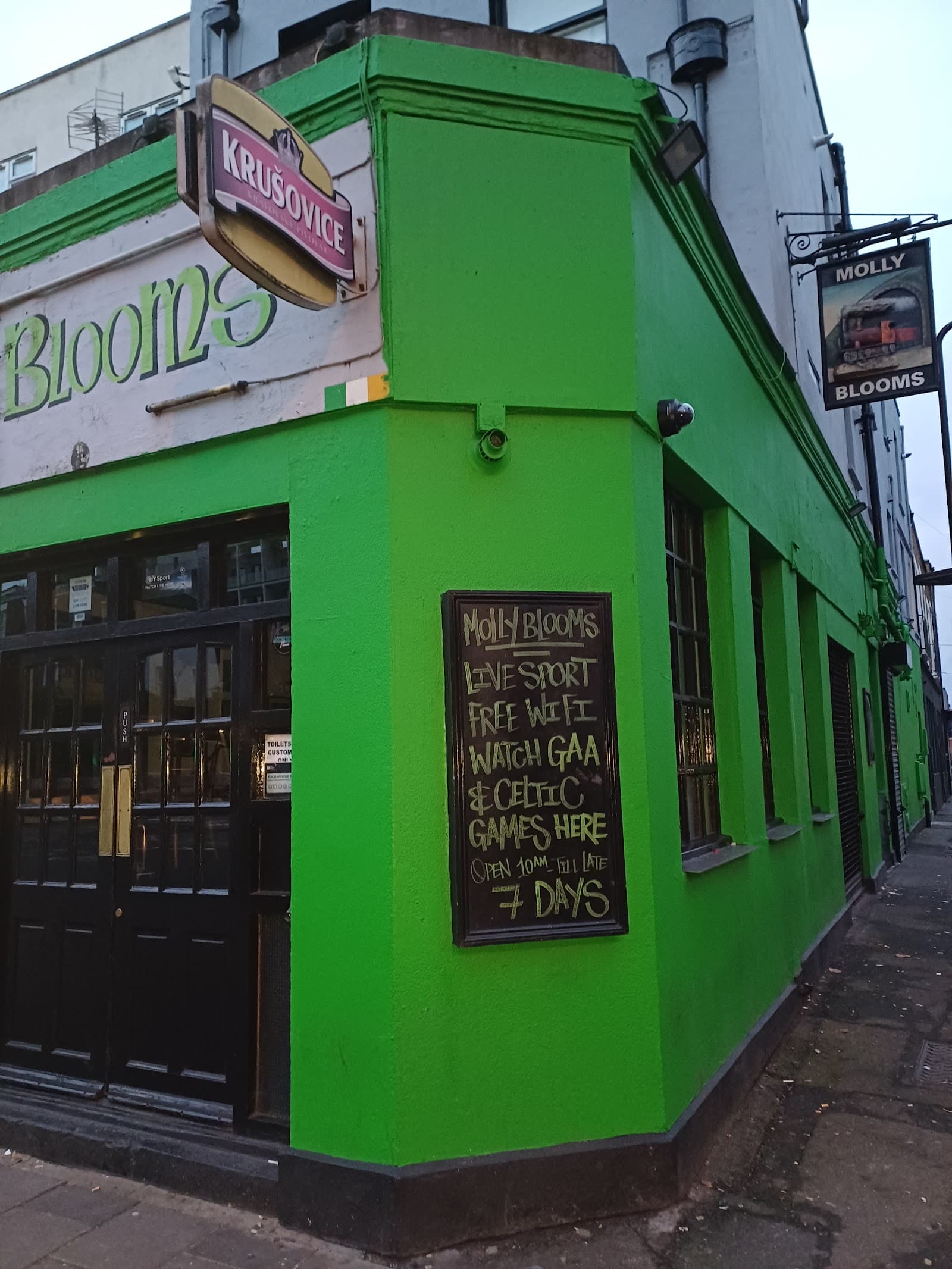 Molly Blooms — Irish pub in London