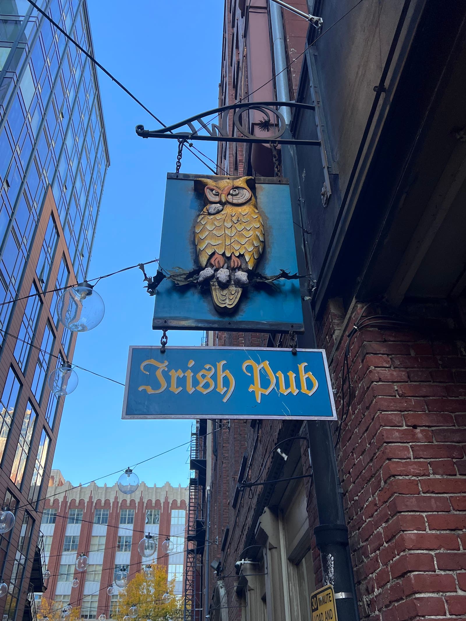 Owl N' Thistle Irish Pub — Irish pub in Seattle