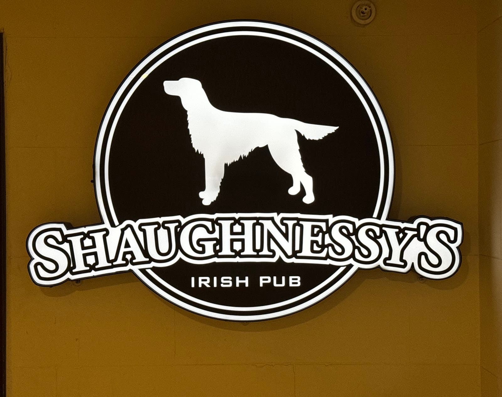 Shaughnessy's Irish Pub — Irish pub in Syracuse