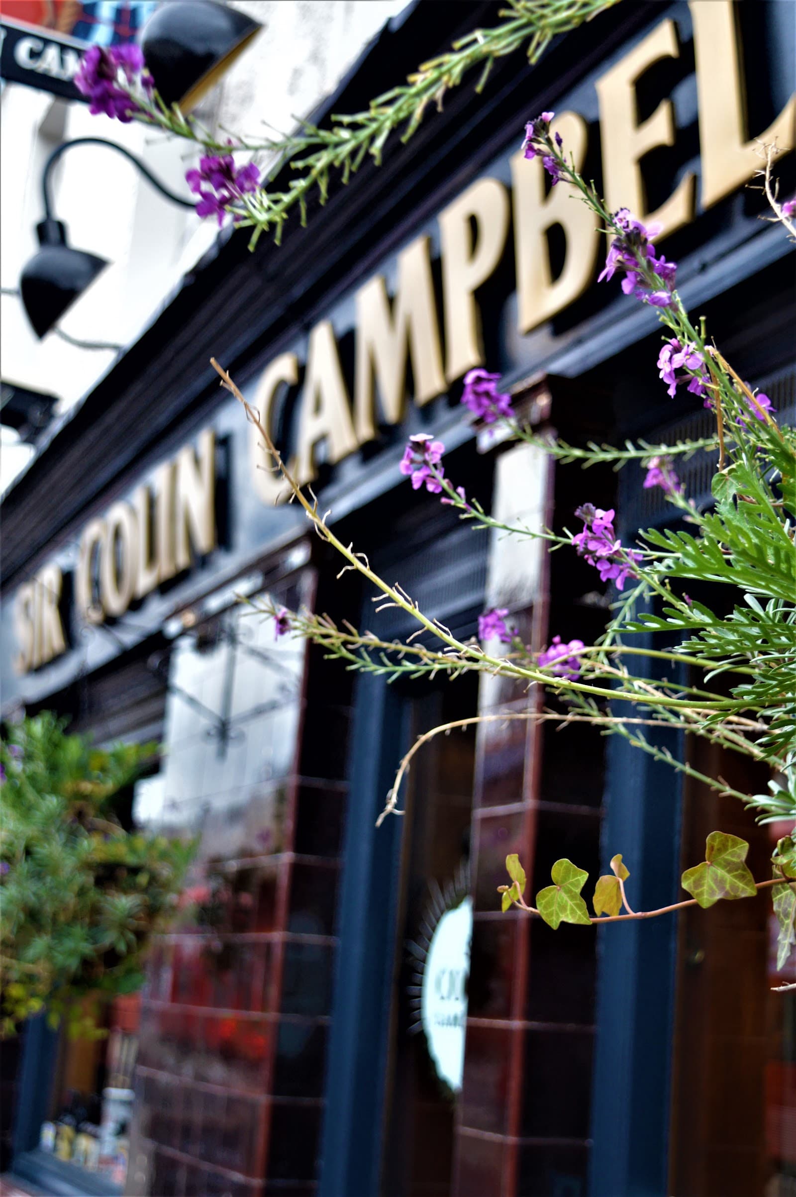 Sir Colin Campbell — Irish pub in London