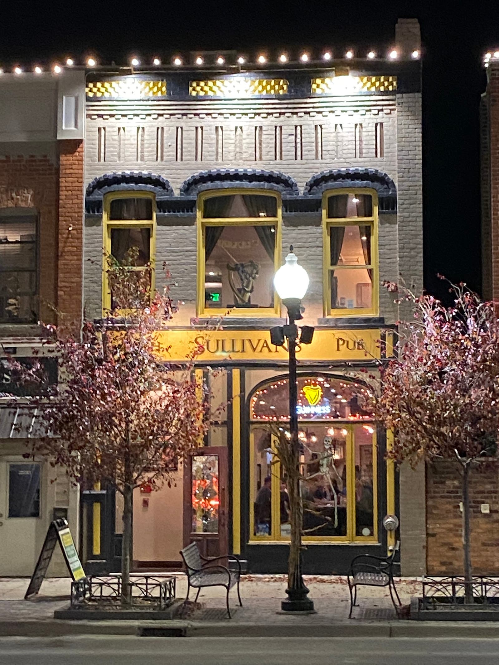 Sullivan's Public House — Irish pub in Detroit