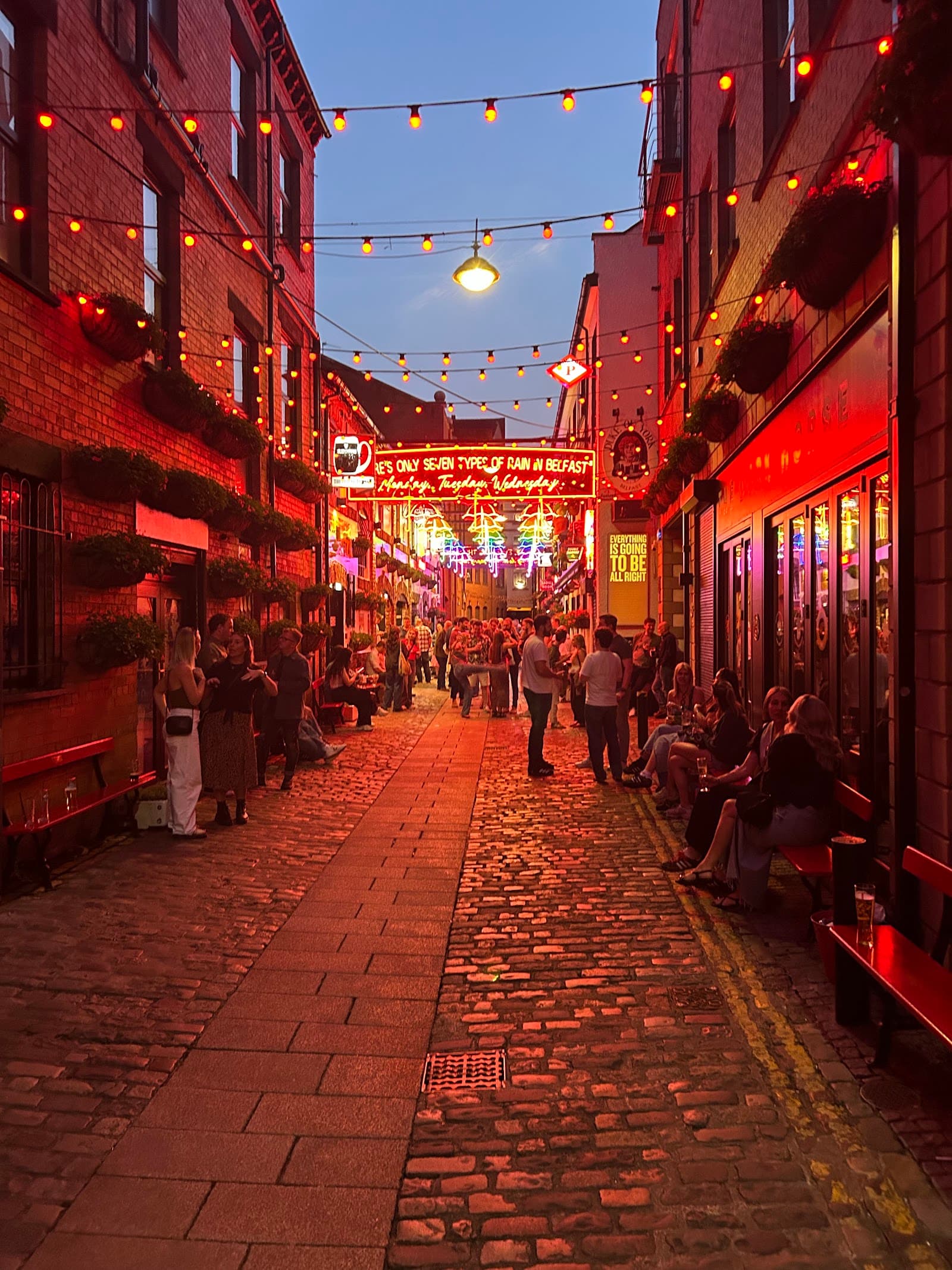The Dark Horse — Irish pub in Belfast