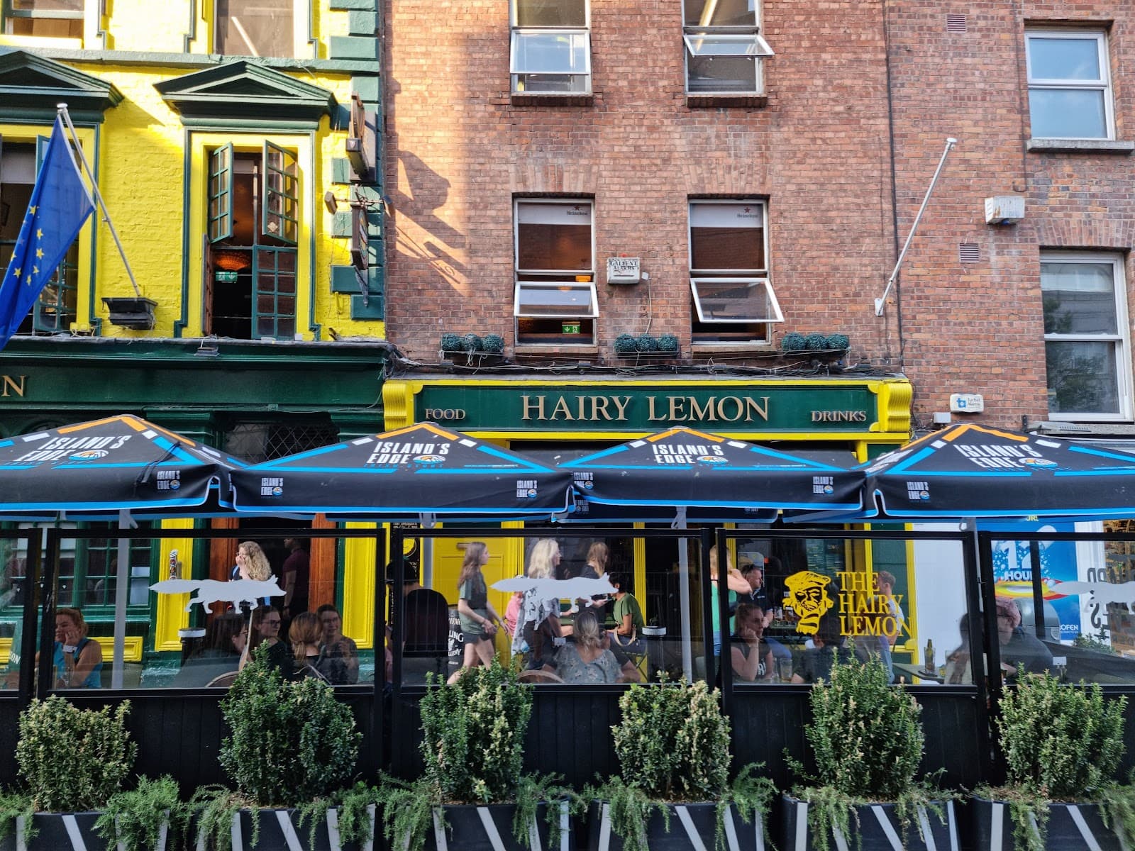 The Hairy Lemon — Irish pub in Dublin