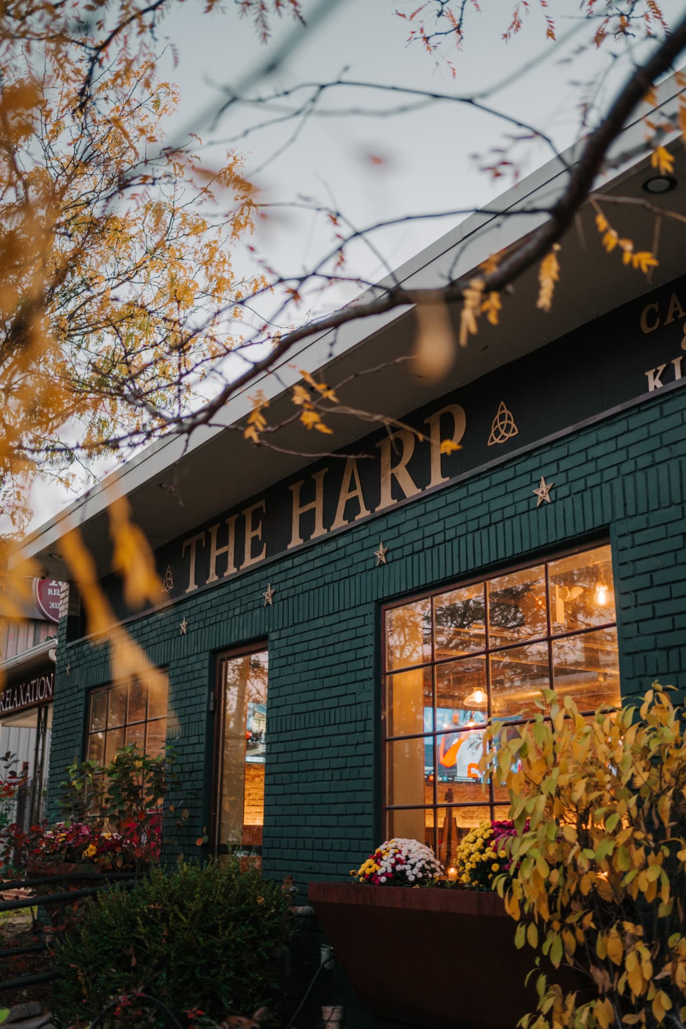 The Harp — Irish pub in Washington DC