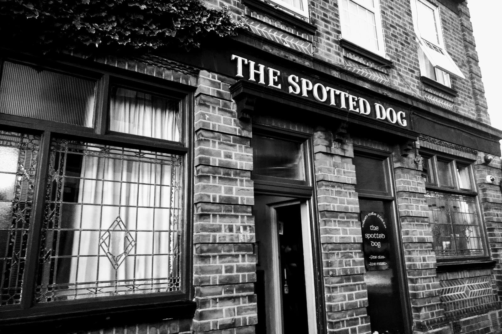 The Spotted Dog — Irish pub in Birmingham